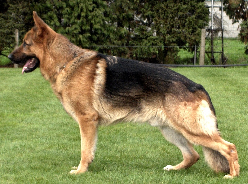 Beau von averegte (Sans Affixe)